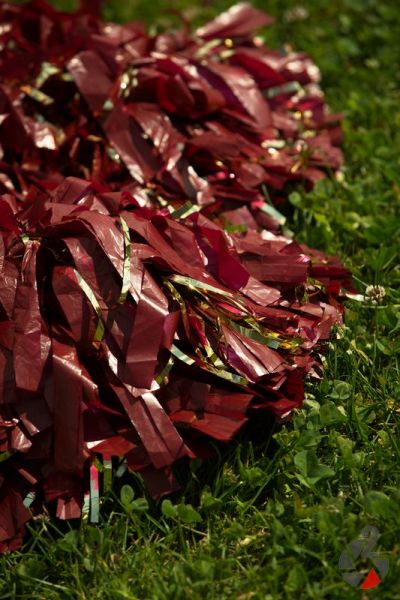 20170525_Pats_cheer@gameday05