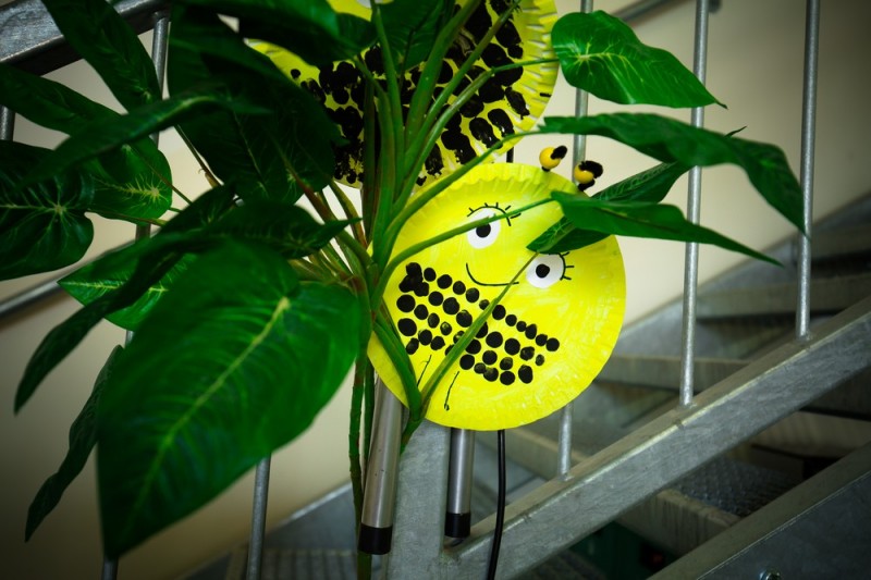 20170624_Premiere_Alea_Bee002