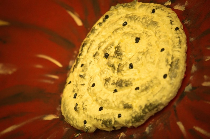 20170624_Premiere_Alea_Bee006