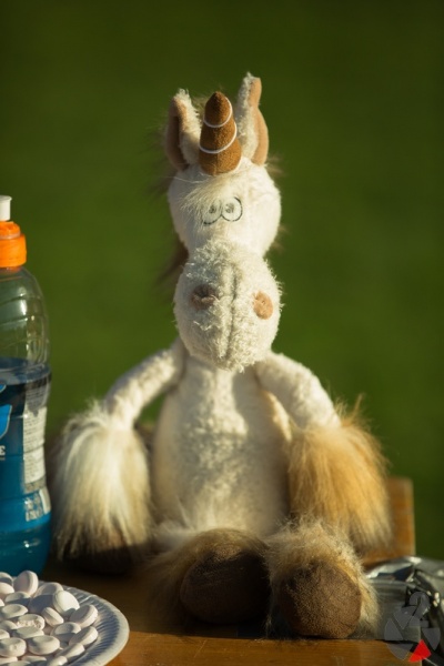 20171026_Patriots@Hammers_Ladies_085