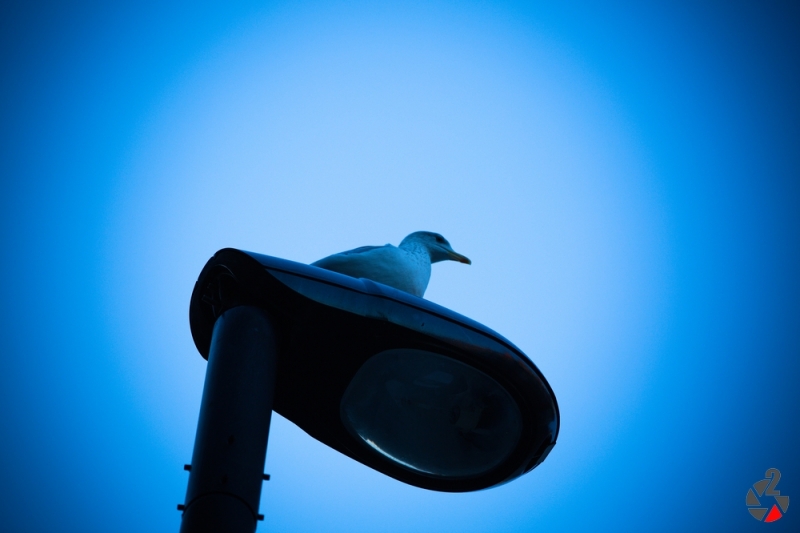 London_Dezember_2017-1120