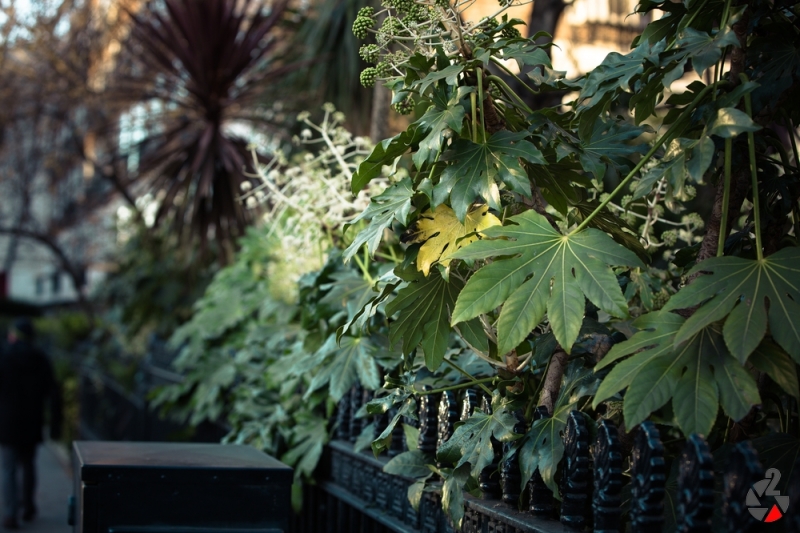 London_Dezember_2017-1202