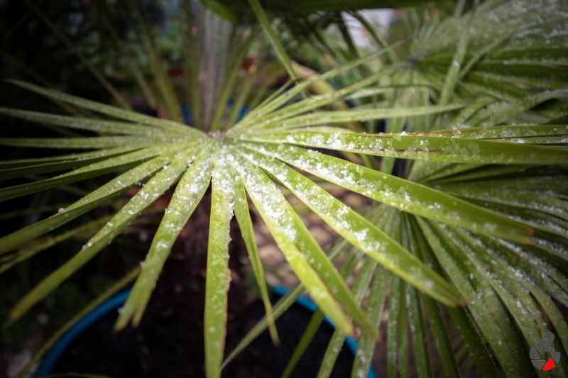 London_Dezember_2017-1423