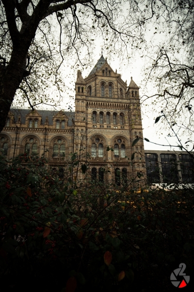 London_Dezember_2017-1442