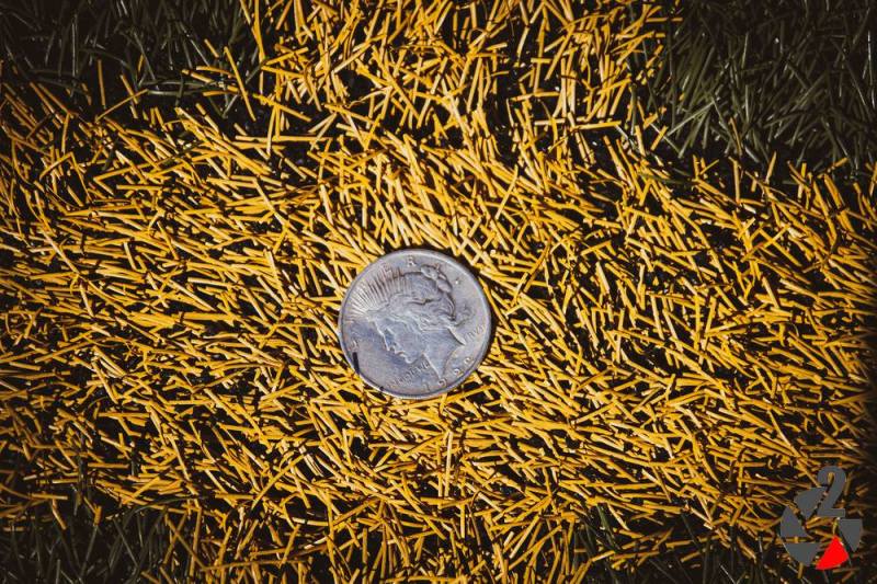 20180407_Tigers@Patriots_Set1 (72)