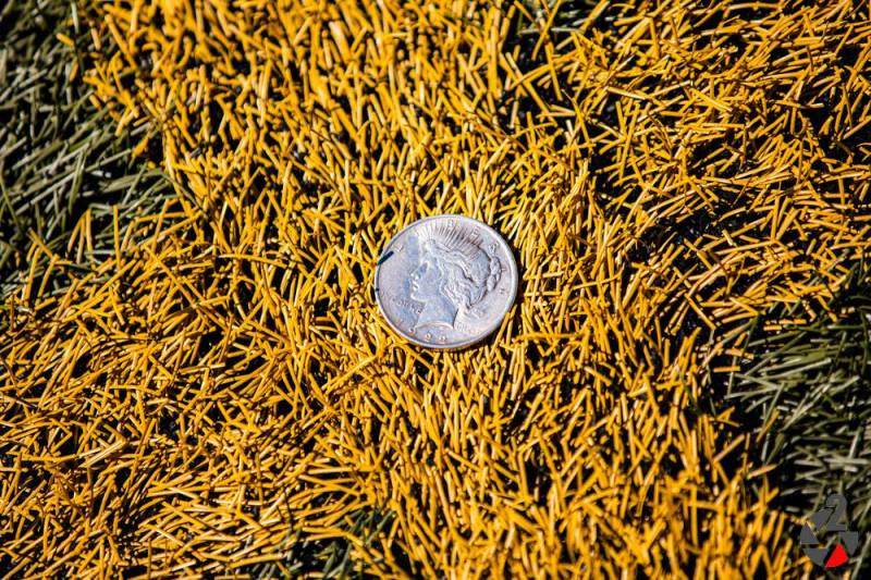 20180407_Tigers@Patriots_Set2 (36)