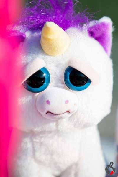 20181117_Patriots@Wolves-1177