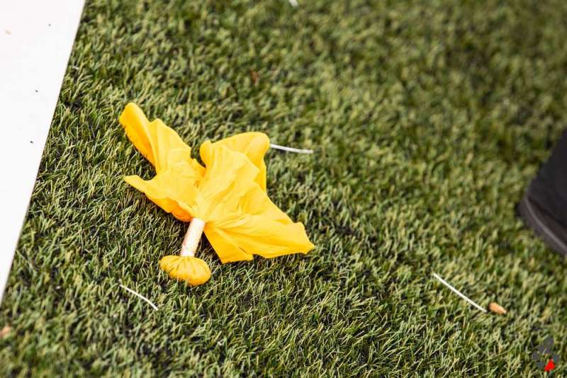20191116_Dragons@Patriots-1547